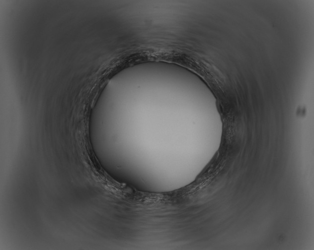 X0000089931345200707131423