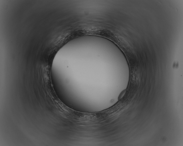 X0000089931346200707131423