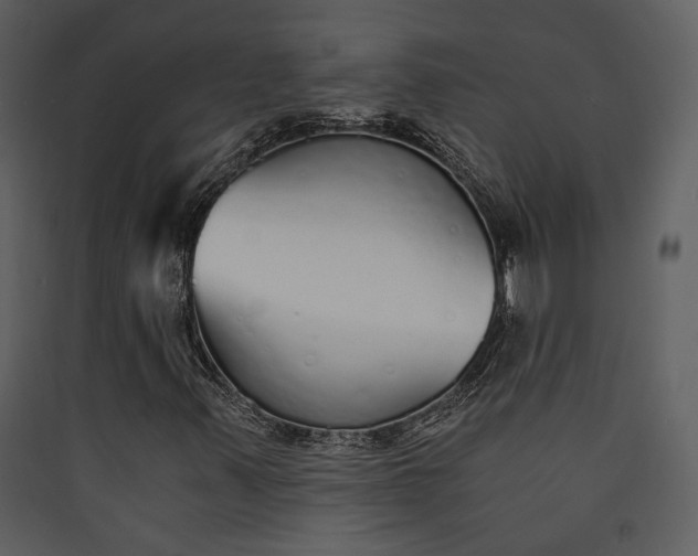 X0000089931347200707131423