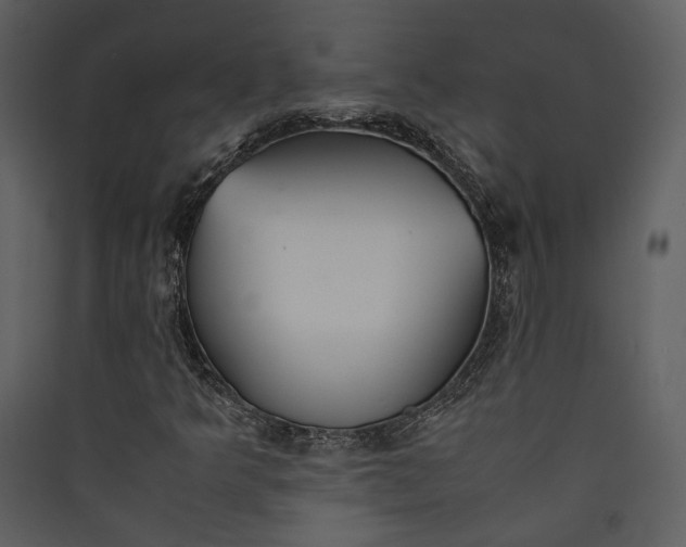 X0000089931349200707131423