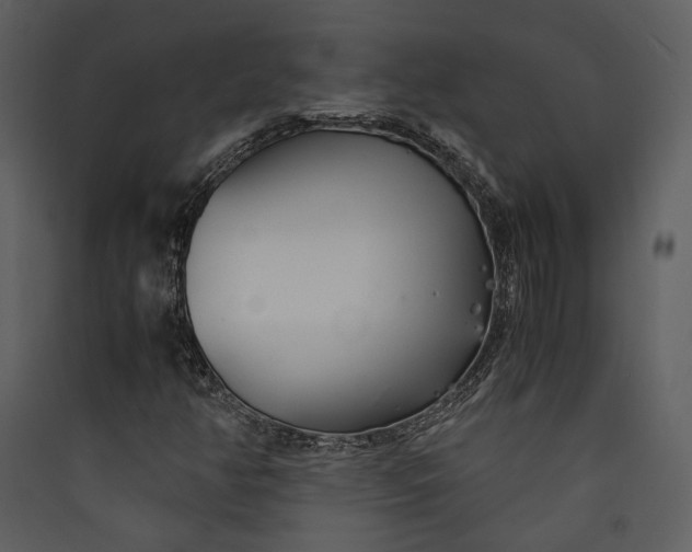 X0000089931350200707131423