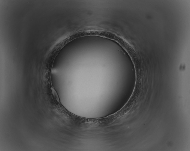 X0000089931351200707131423