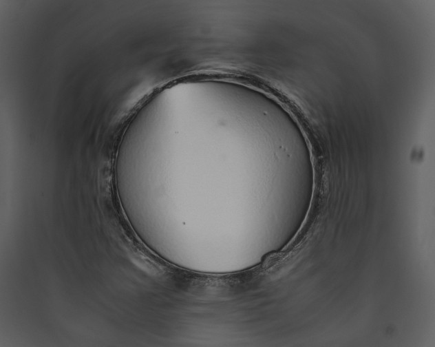 X0000089931355200707131423