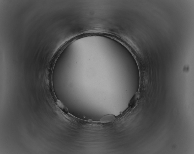 X0000089931356200707131423