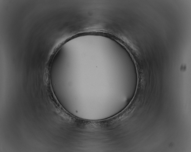 X0000089931358200707131423