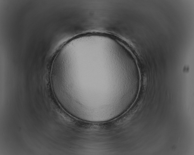 X0000089931359200707131423