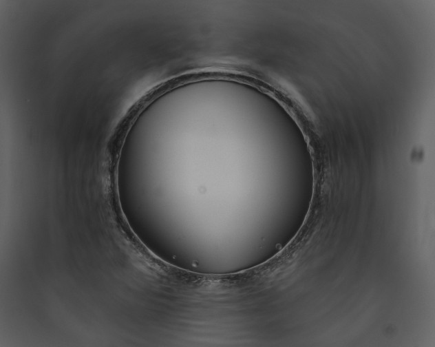 X0000089931360200707131423