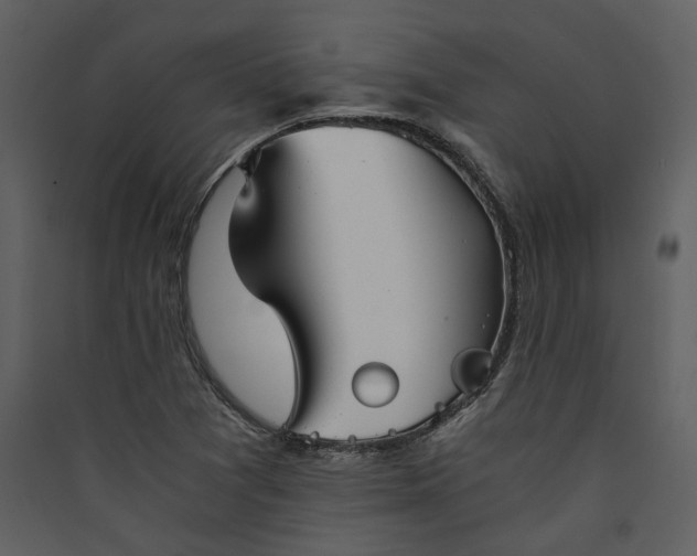 X0000089931361200707131423