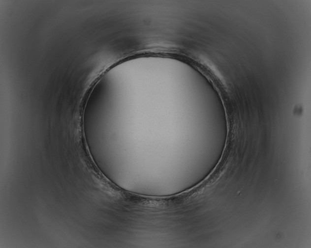 X0000089931362200707131423