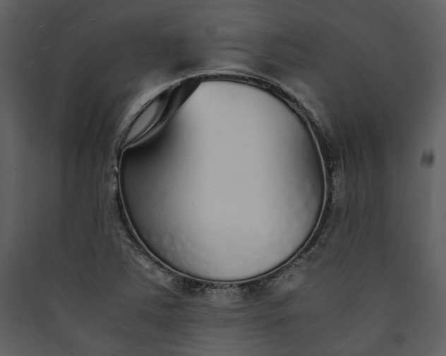 X0000089931363200707131423