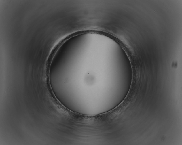 X0000089931364200707131423