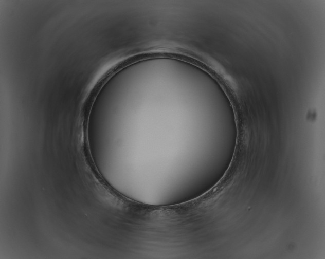 X0000089931368200707131423