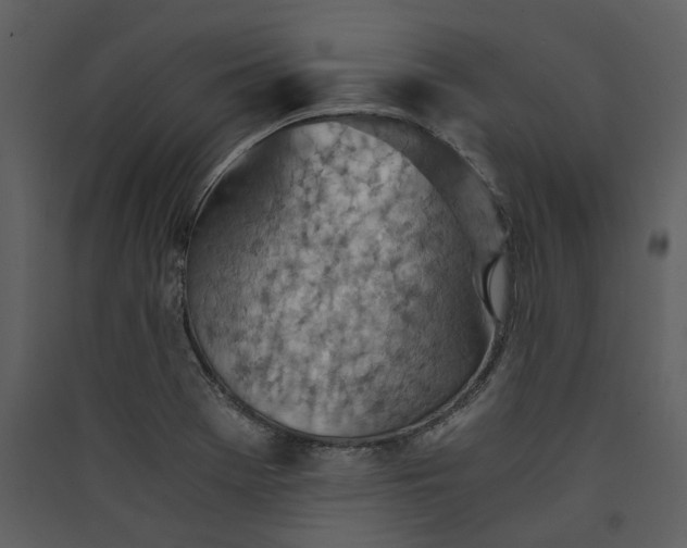 X0000089931369200707131423