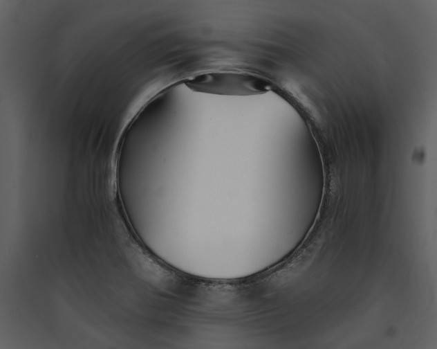 X0000089931370200707131423