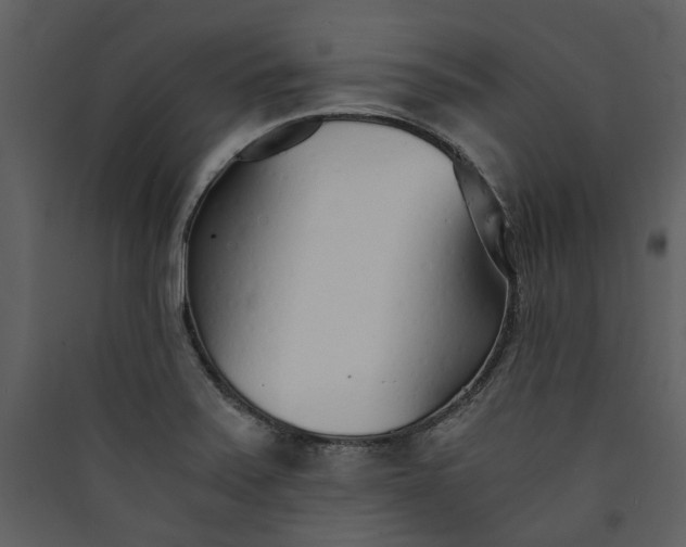 X0000089931371200707131423