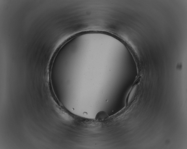 X0000089931372200707131423