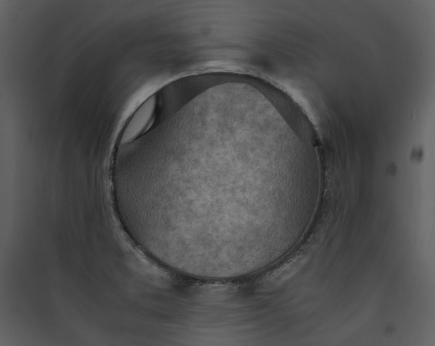 X0000089931373200707131423