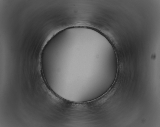 X0000089931374200707131423