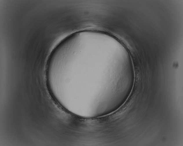 X0000089931375200707131423