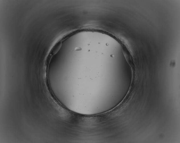 X0000089931376200707131423