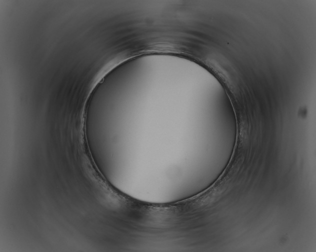 X0000089931378200707131423