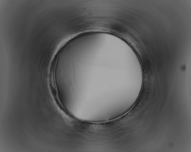 X0000089931379200707131423