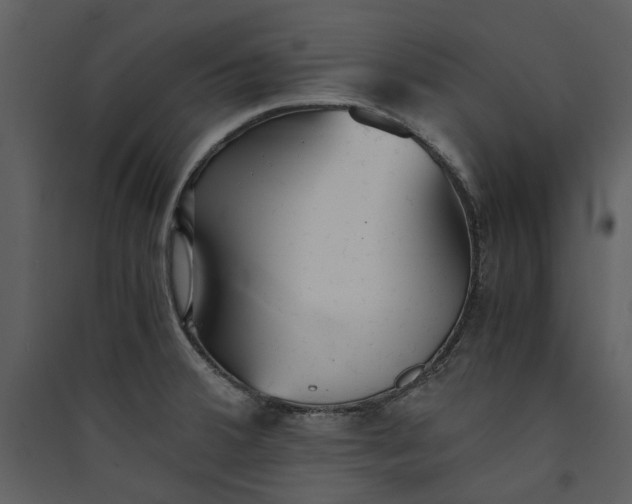 X0000089931380200707131423