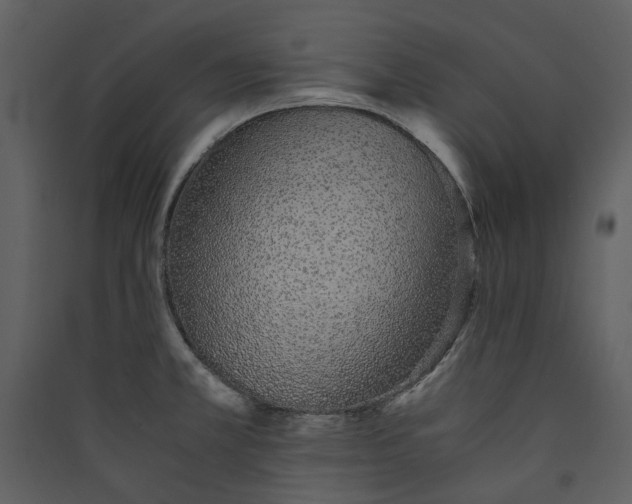 X0000089931381200707131423