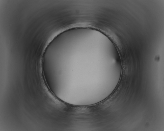 X0000089931382200707131423