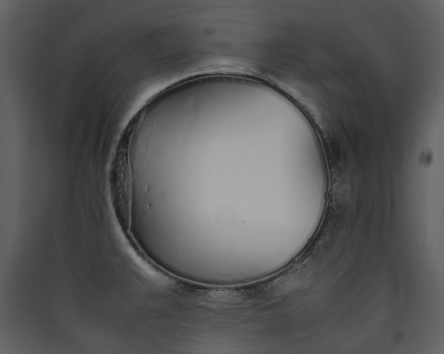 X0000089931383200707131423