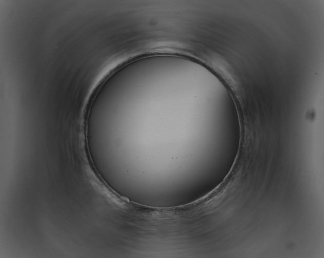 X0000089931384200707131423