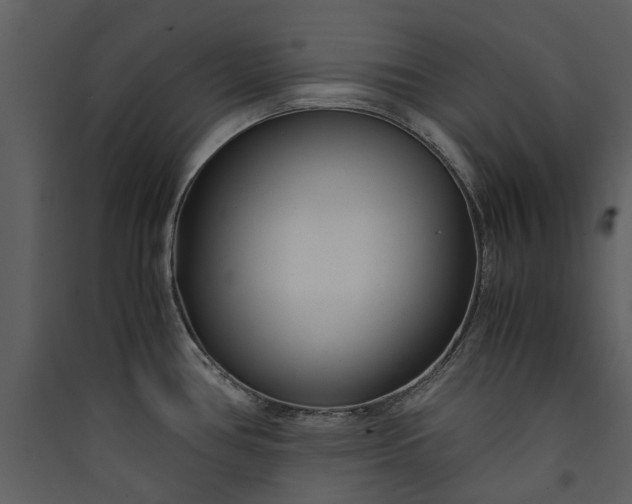 X0000089931386200707131423