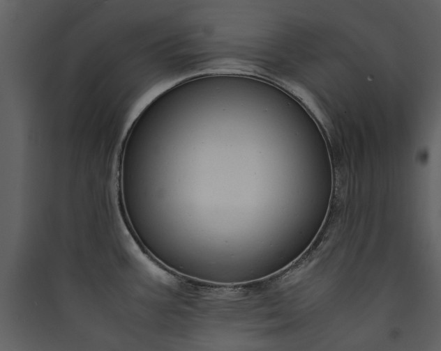 X0000089931387200707131423