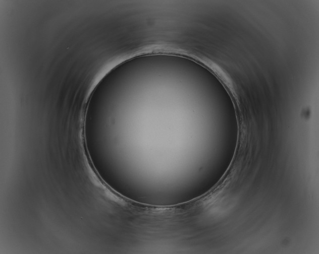 X0000089931390200707131423