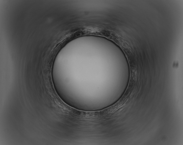 X0000089931393200707131422