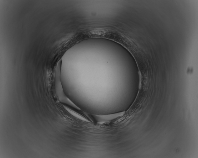 X0000089931394200707131422