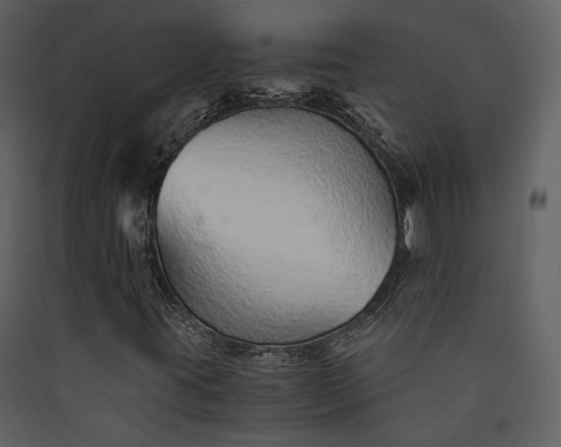 X0000089931395200707131422