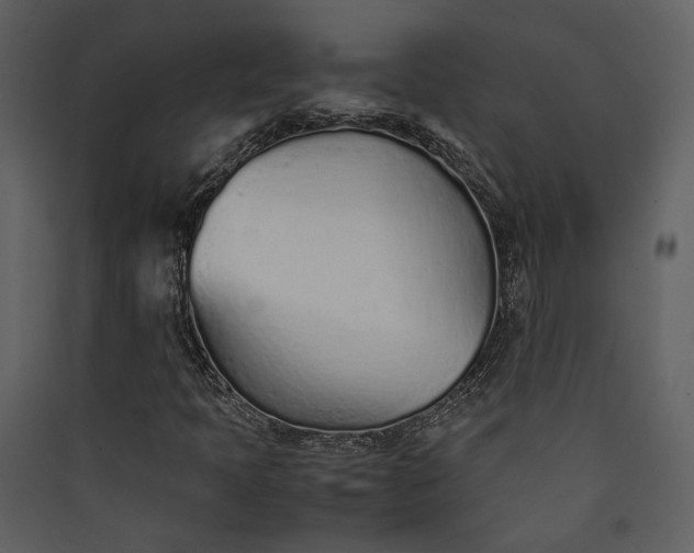 X0000089931397200707131422