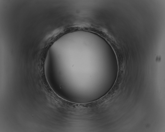 X0000089931398200707131422