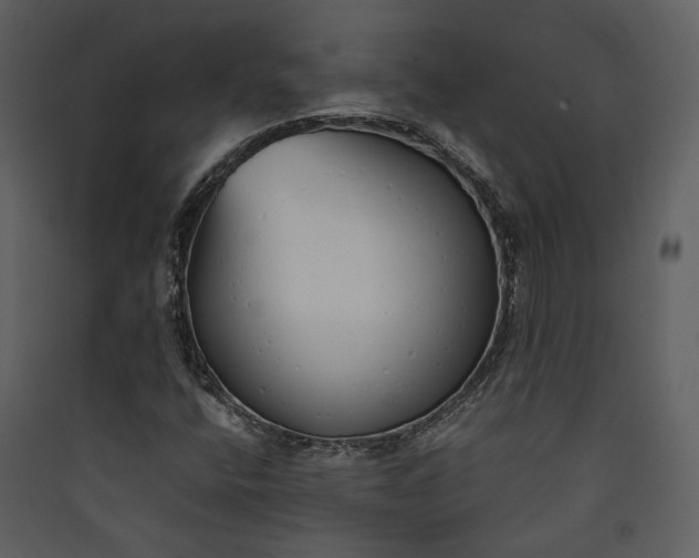 X0000089931400200707131422