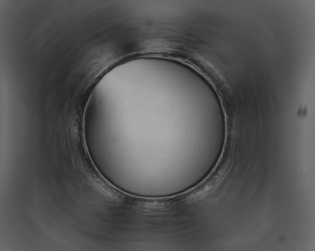 X0000089931401200707131422