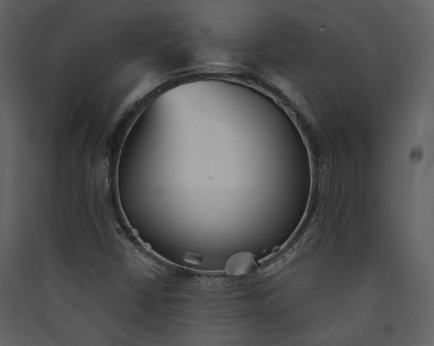 X0000089931402200707131422