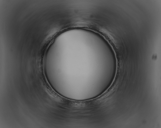 X0000089931403200707131422