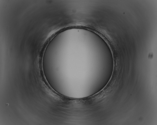 X0000089931404200707131422