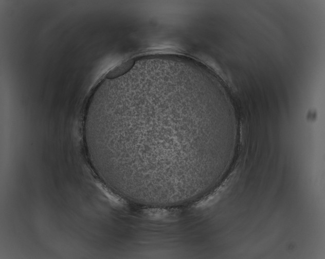 X0000089931405200707131422