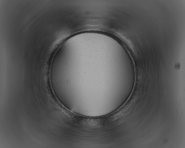 X0000089931411200707131422