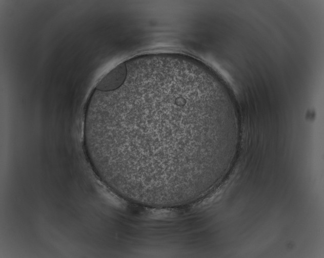 X0000089931413200707131422