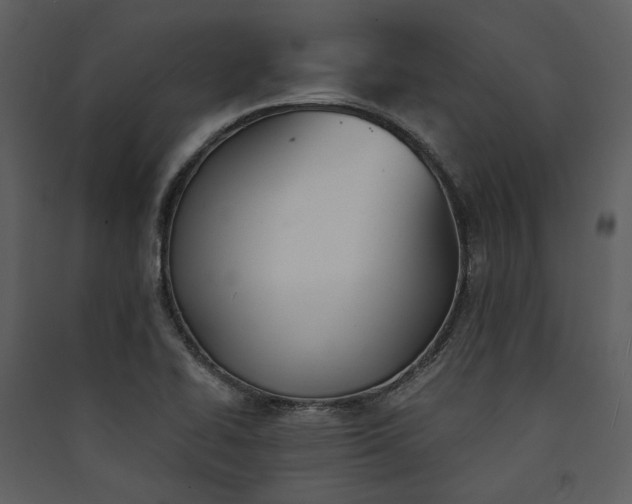 X0000089931414200707131422