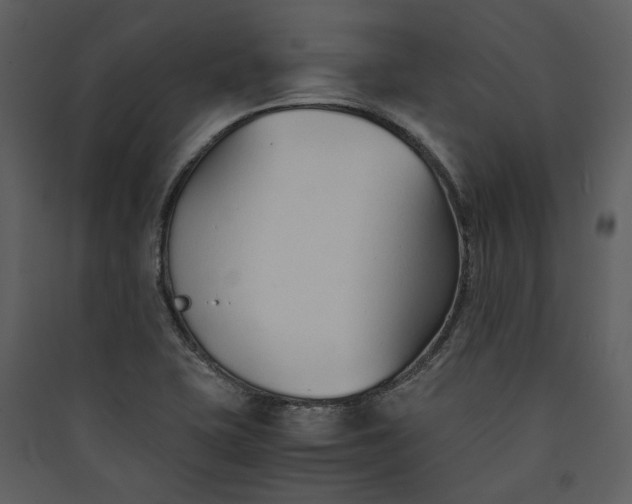 X0000089931415200707131422