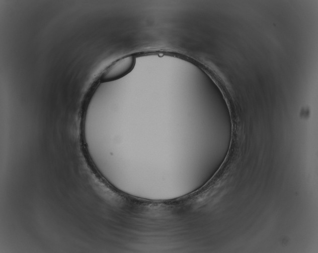 X0000089931416200707131422